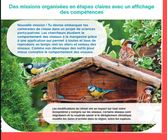 Fabriquer une mangeoire Image 2