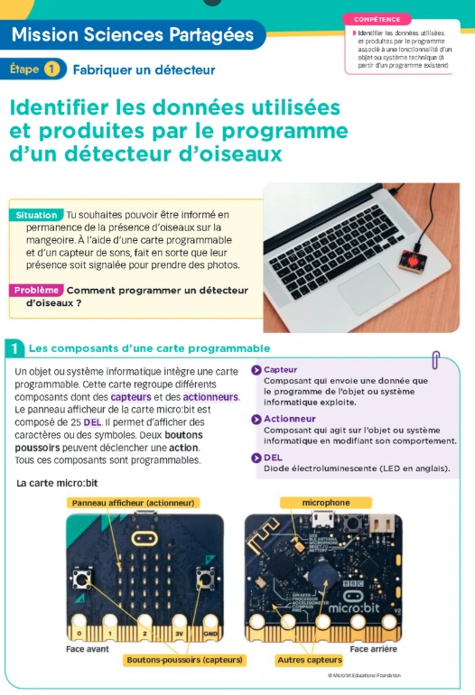 Fabriquer une mangeoire Image 3